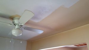 Ceiling Interior Painting