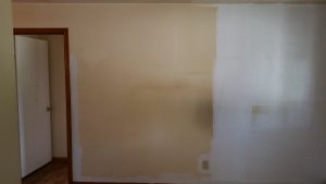 Interior Paint Rental Property